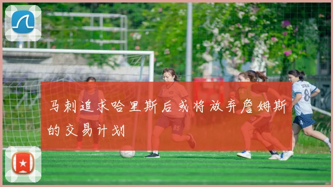 马刺追求哈里斯后或将放弃詹姆斯的交易计划